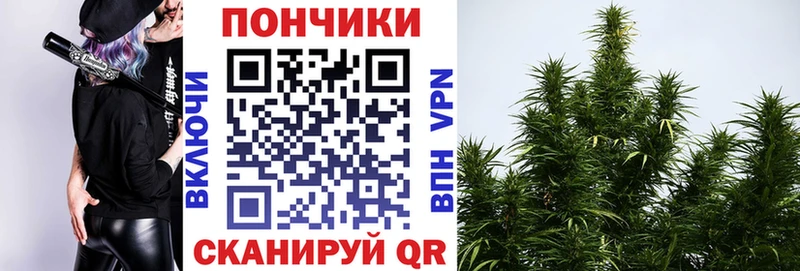 Названия наркотиков Чернушка Метамфетамин  МЕФ  Гашиш  НБОМе  Марихуана 