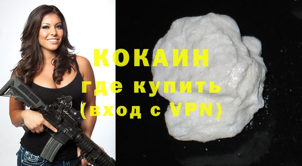 шишки Богородицк
