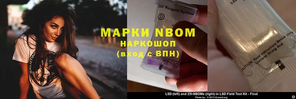 твердый Богородск