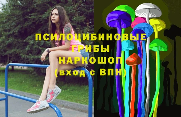 шишки Богородицк
