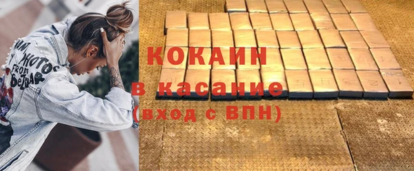 шишки Богородицк