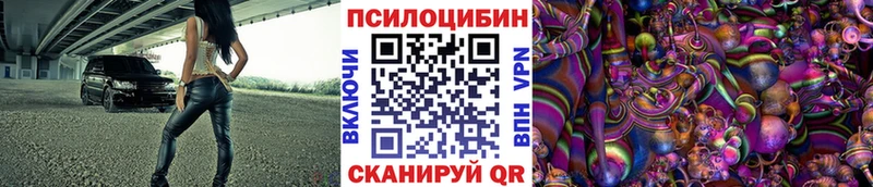 Галлюциногенные грибы Psilocybe  купить   Чернушка 